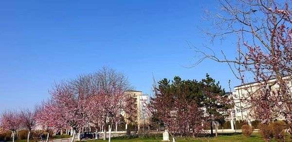 Instituti Hidrometeorologjik i Kosovës : Mot me diell dita e hënë